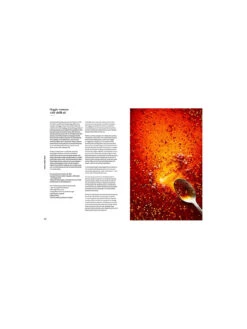 Crave -Lifestyle Shop B055201 5