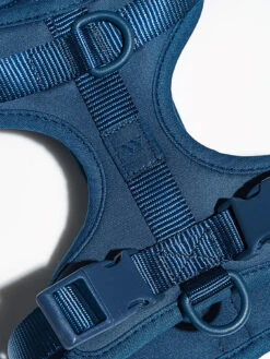 Lifestyle Shop -Lifestyle Shop WO HRN 02 M BLU 1