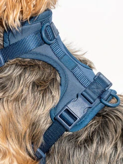 Harness 7 Harness -Lifestyle Shop WO HRN 02 M BLU 3