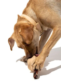 Twist Toss Toy -Lifestyle Shop WO TOY SP TAN 2